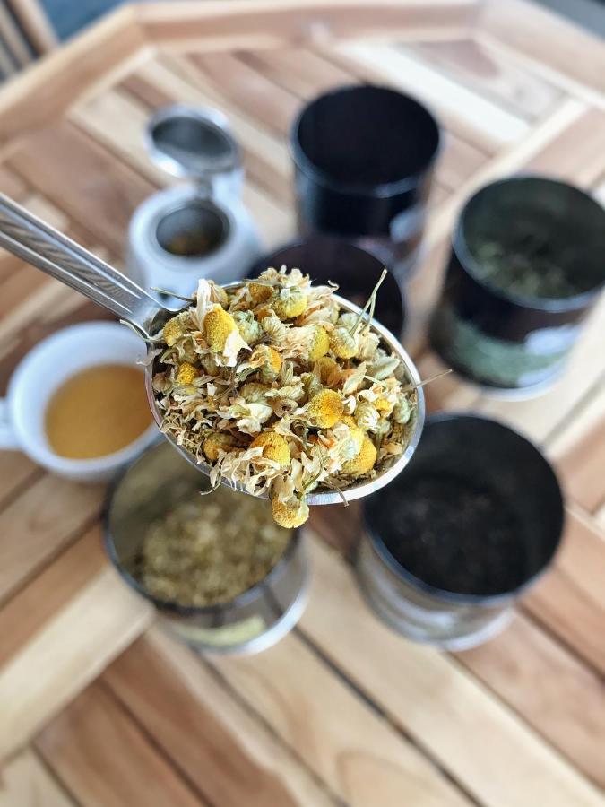 Wellness Lázně Penzion 4*